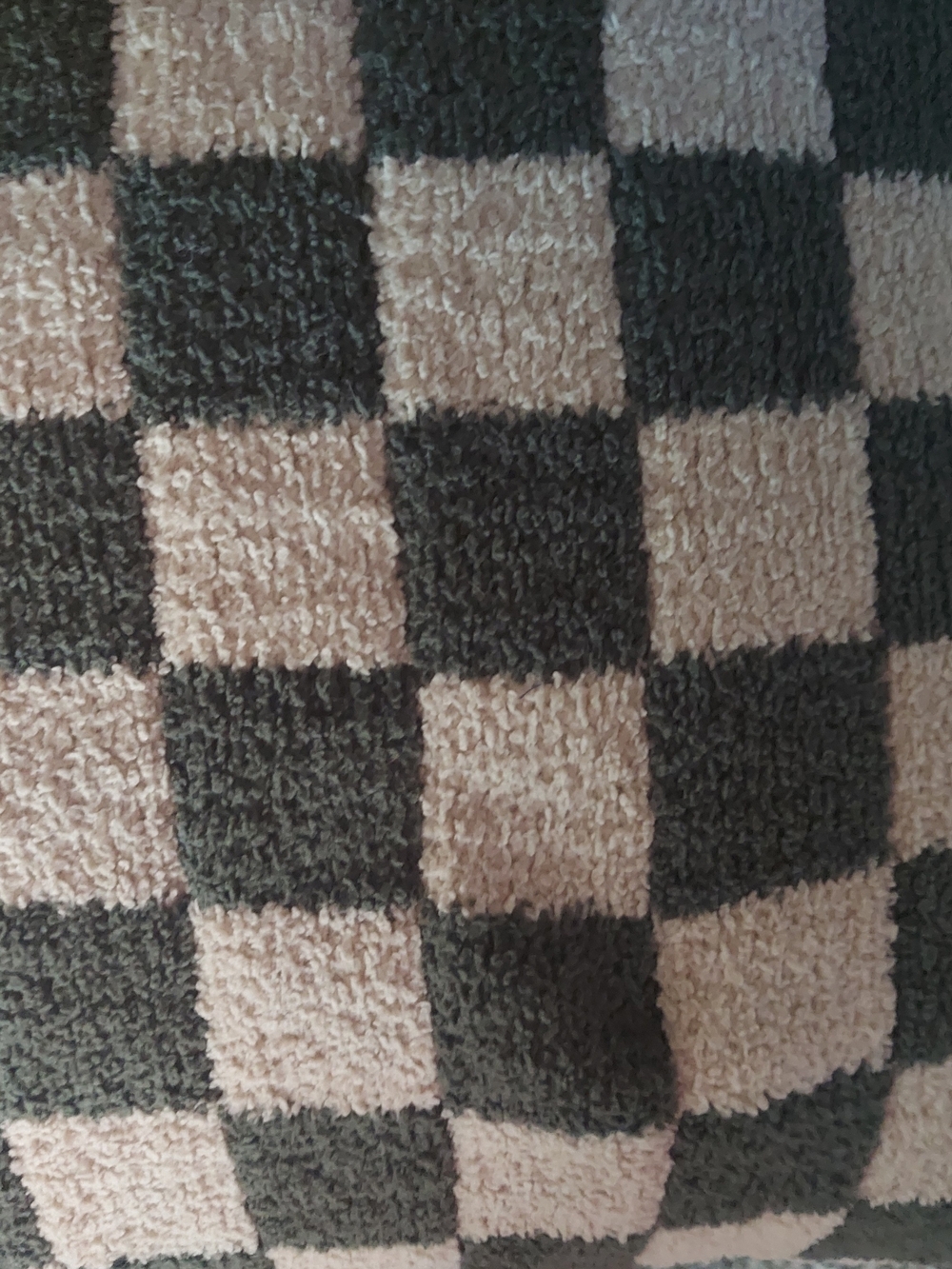 Checkerboard Throw Pillow in Moss and Cream - Home Holiday - Picture 2 of 4